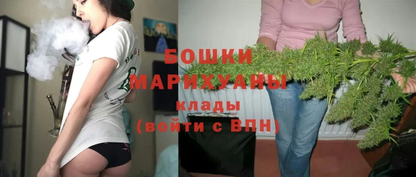 мдпв Богородицк