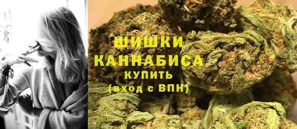 МДПВ Бронницы