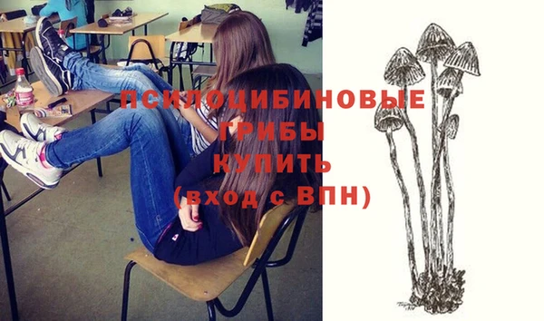 Альфа ПВП Бугульма