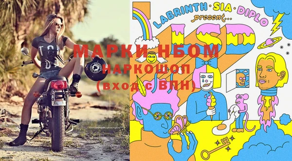 сатива Пролетарск