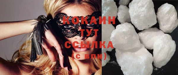 стафф Бородино