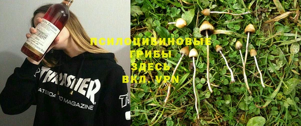 МДПВ Бронницы